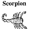 Scorpion