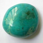 la Chrysocolle